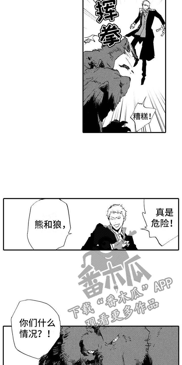 第31章：都是他干的1