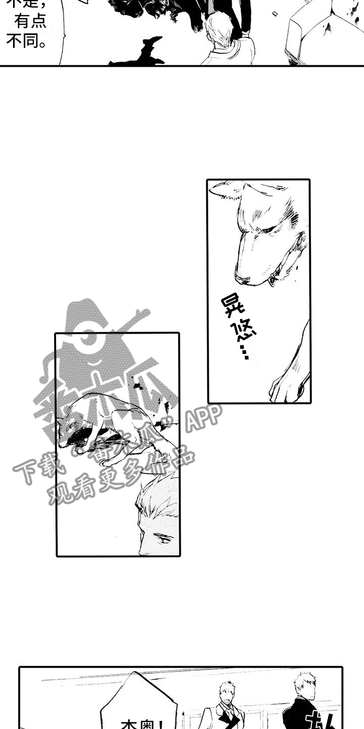 第31章：都是他干的4