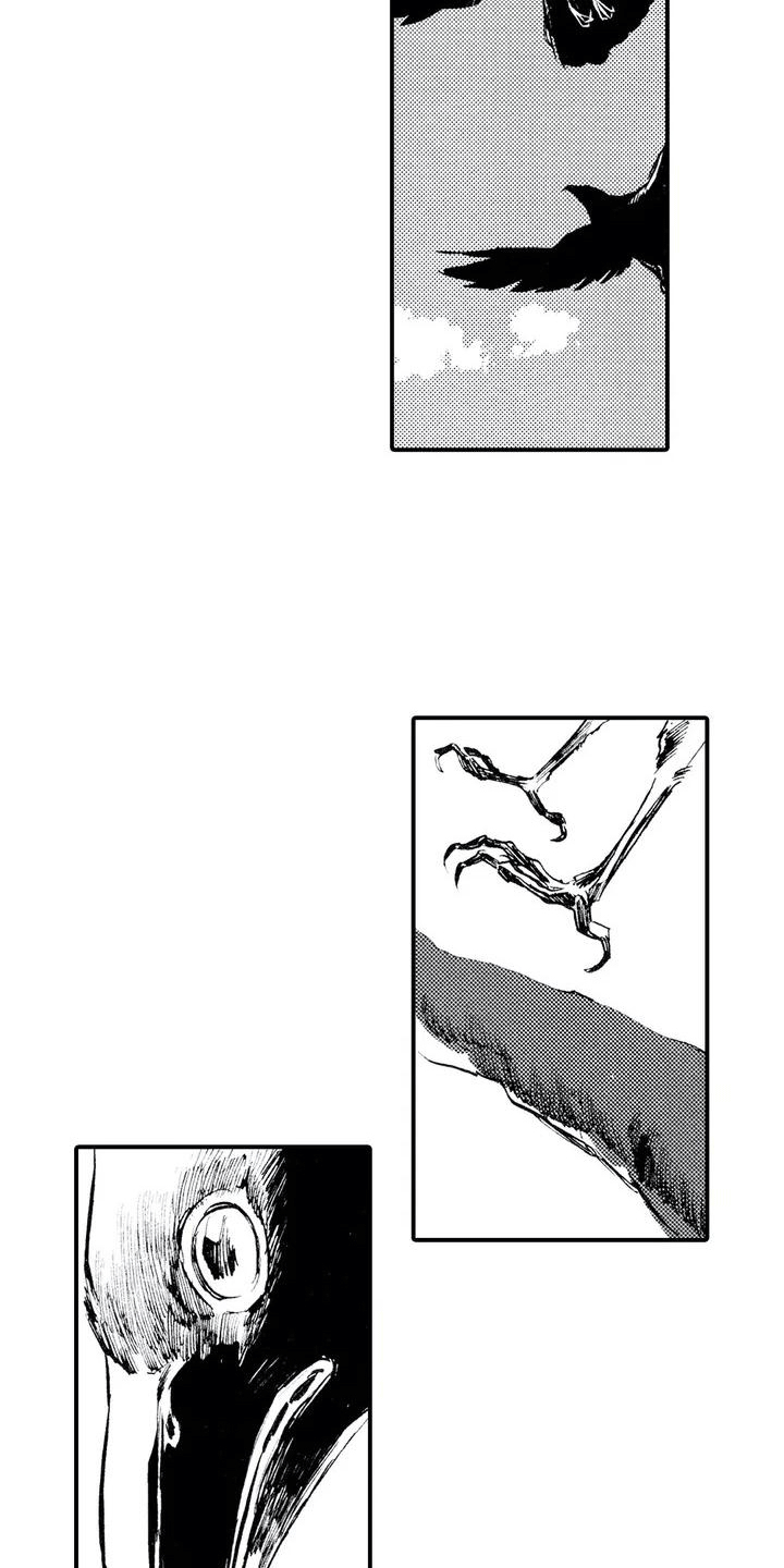 第1章：狼捡了人3