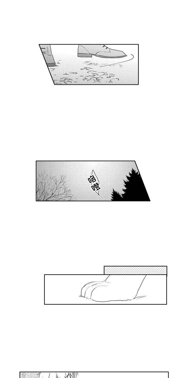 第3章：三花猫1