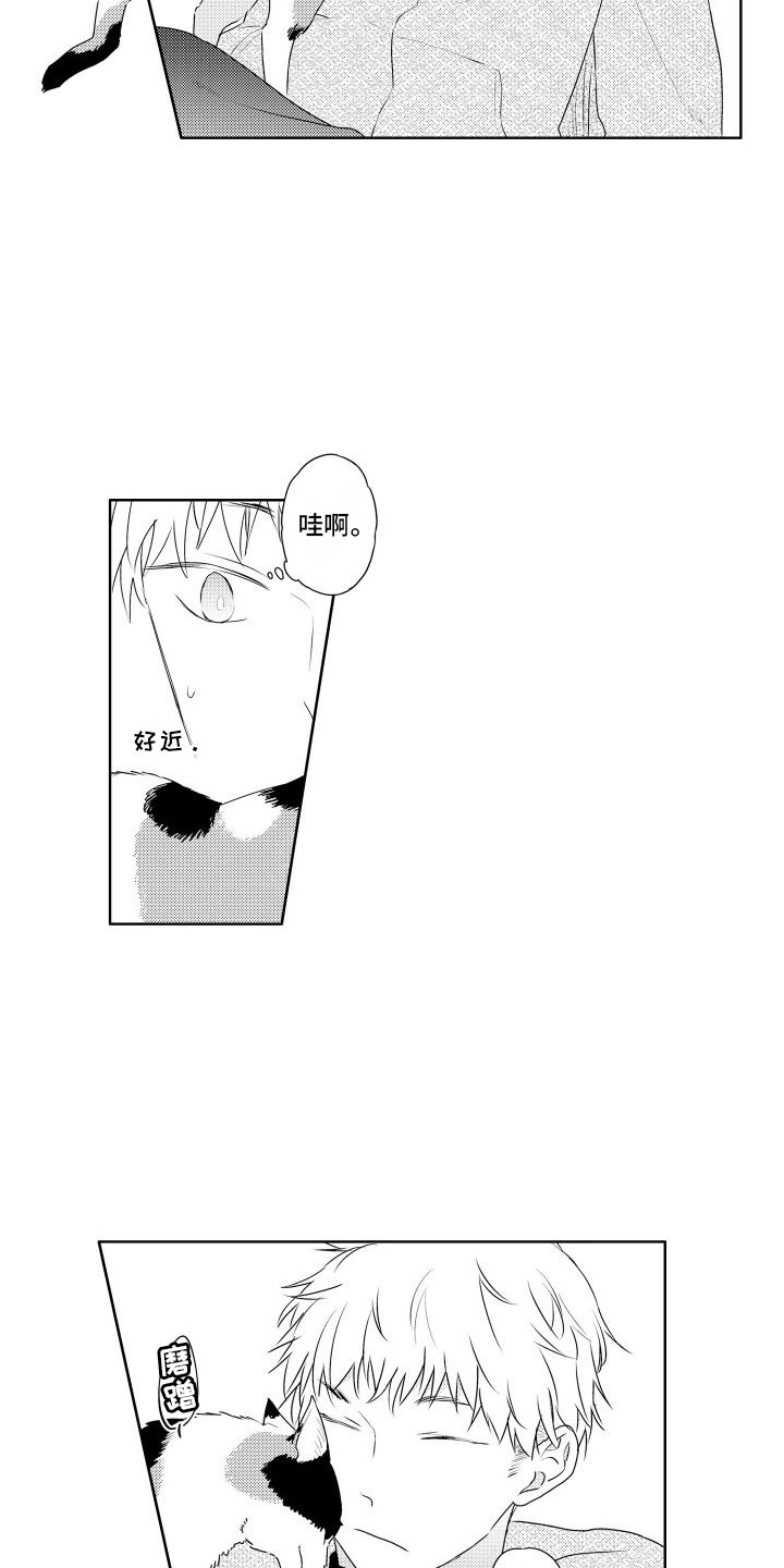 第3章：三花猫4