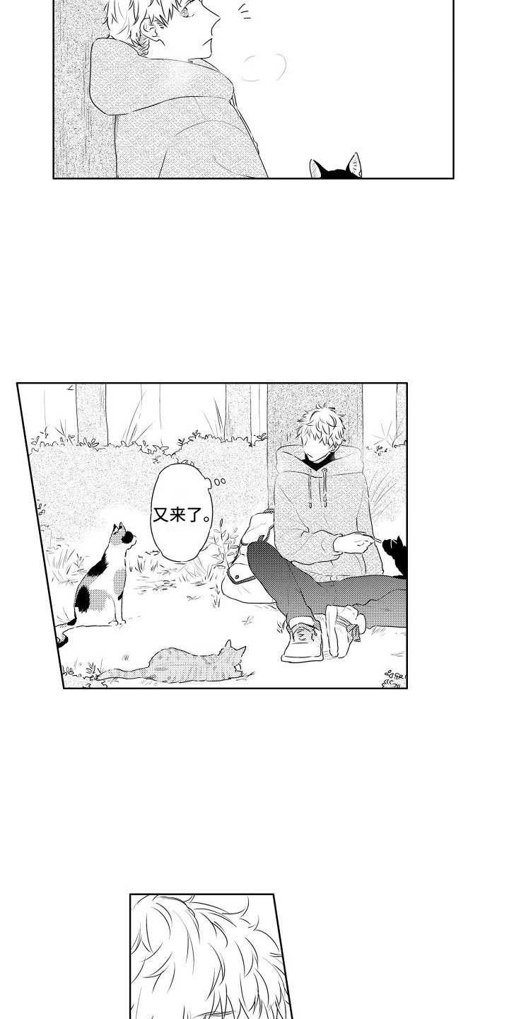 第3章：三花猫2