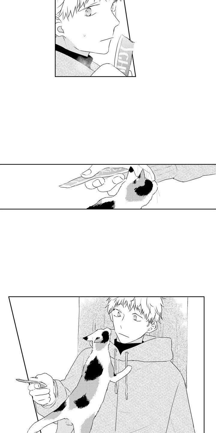 第3章：三花猫3