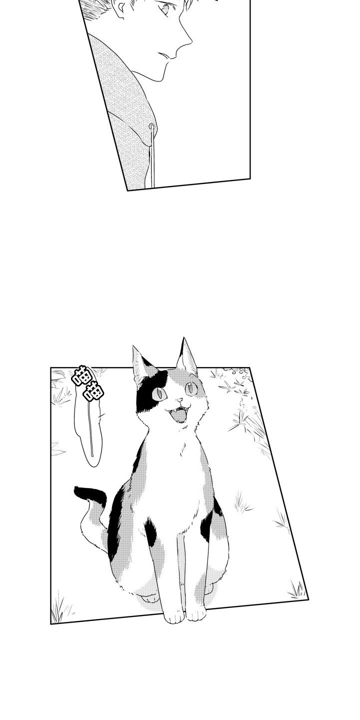 第1章：新来的3