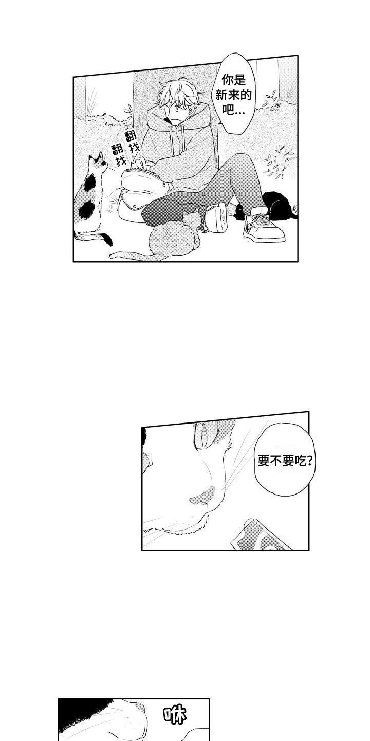 第1章：新来的4