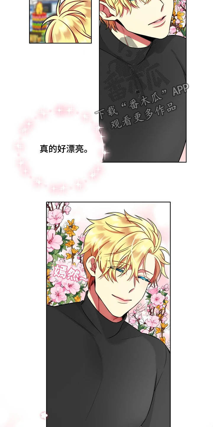 第42章：【第二季】一见钟情1