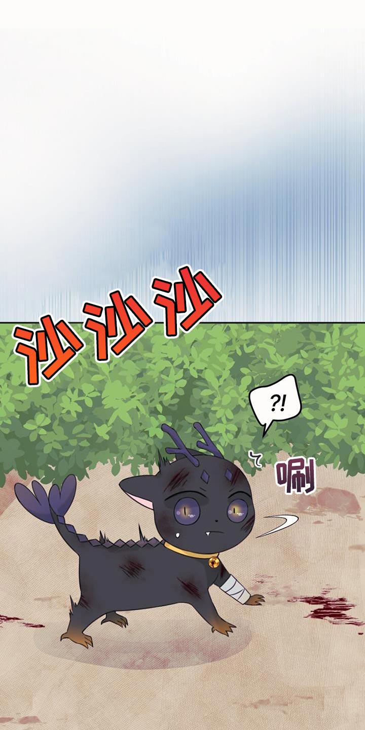 第68章：悲剧0