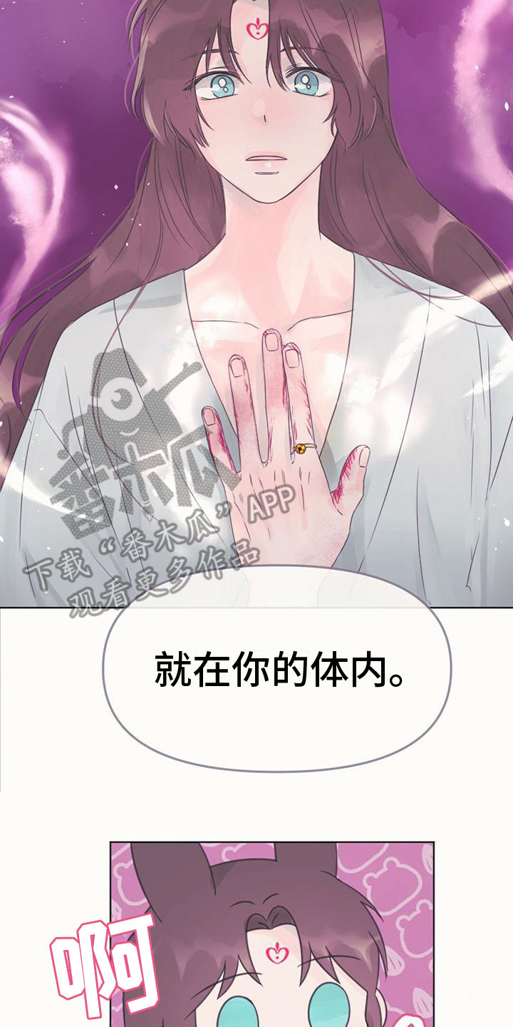 第19章：如意珠1