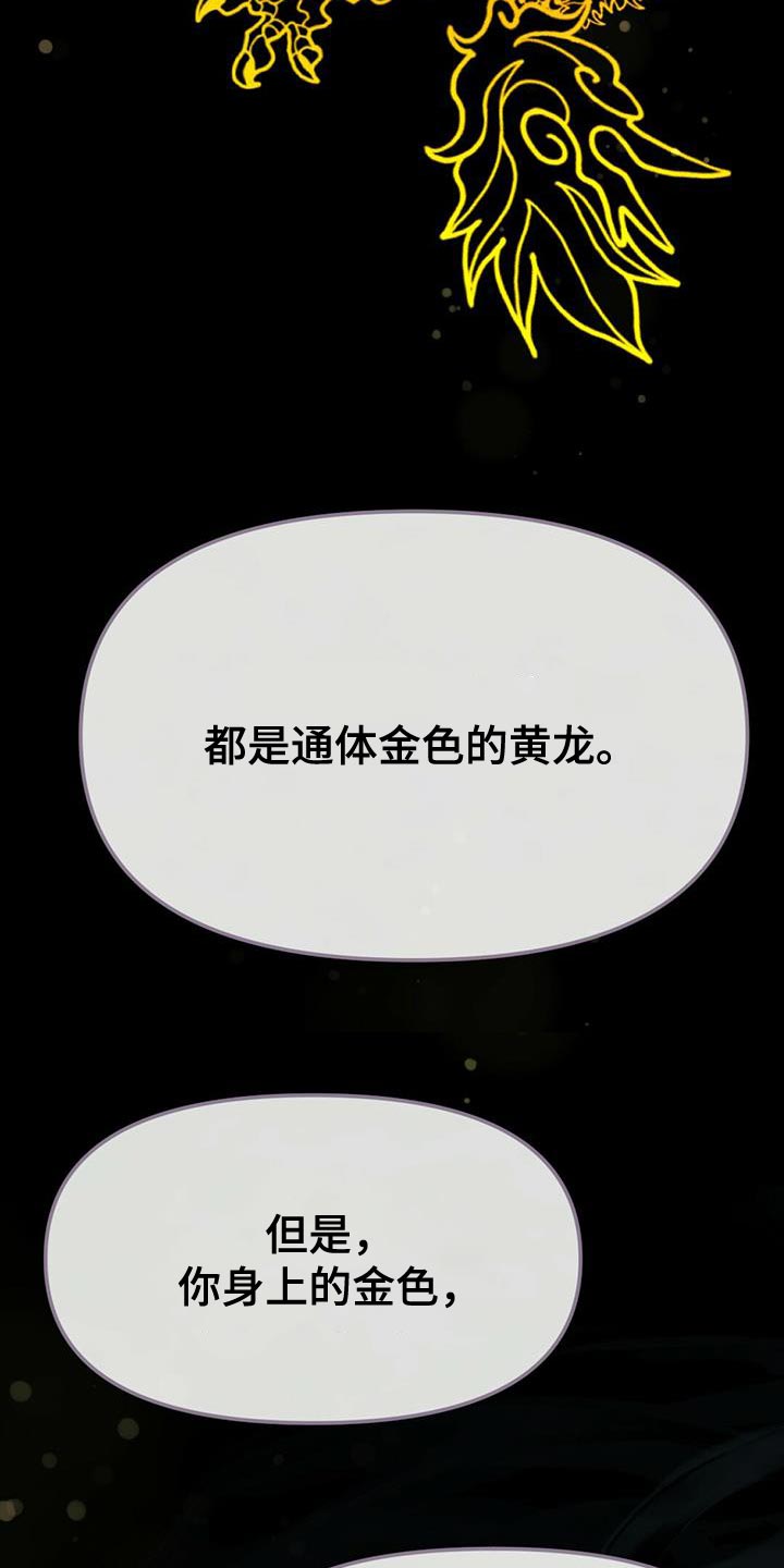第39章：太暗了4