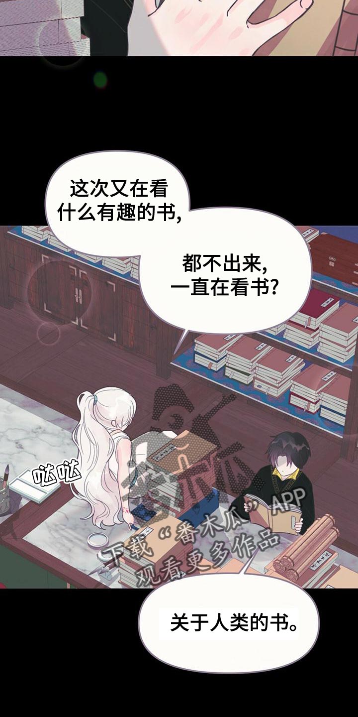 第35章：去人界玩吧4