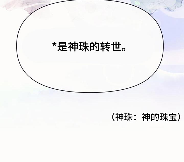 第67章：神珠的转世3