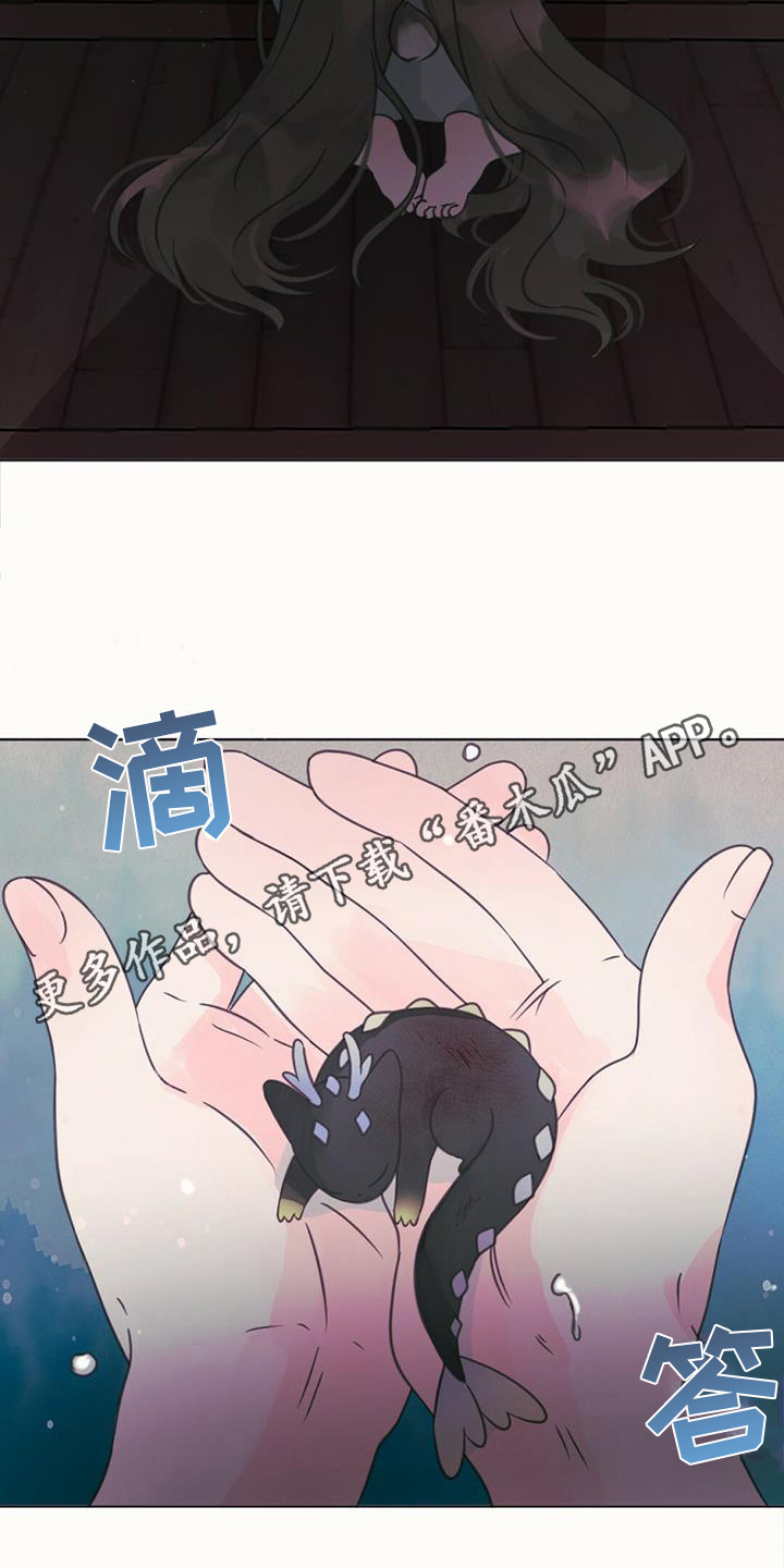 第17章：交换信息4