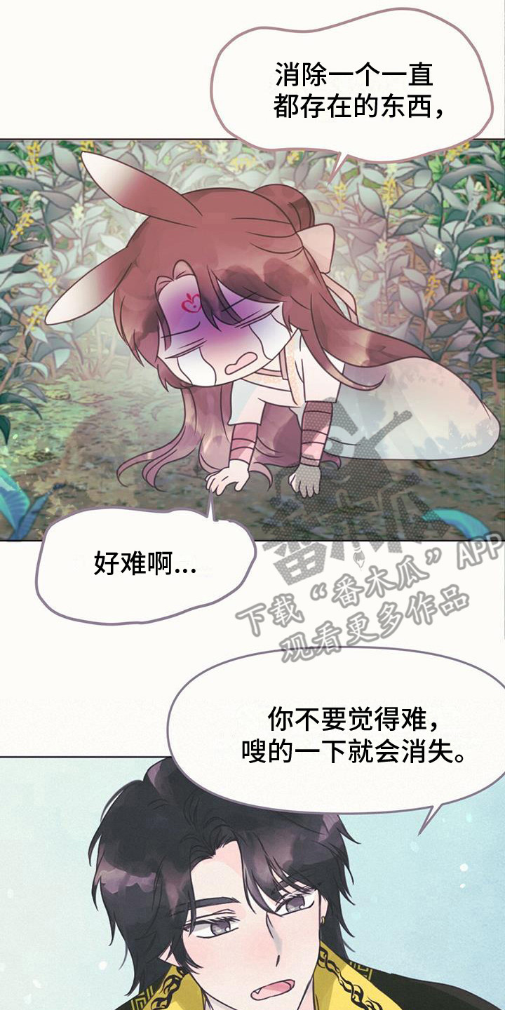 第25章：吸收力量1