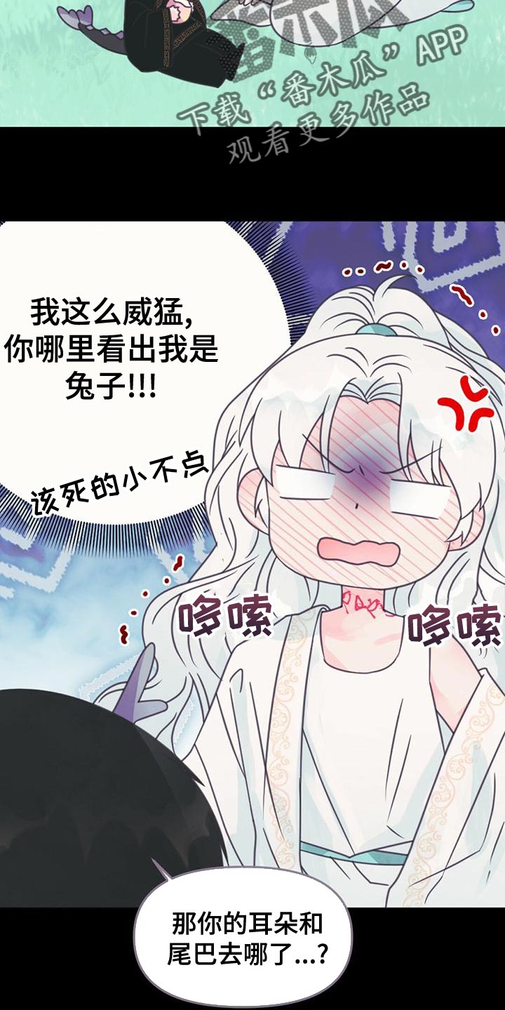 第31章：利用1