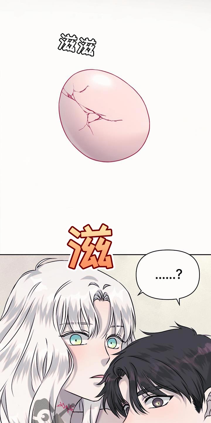 第74章：捡来的蛋0