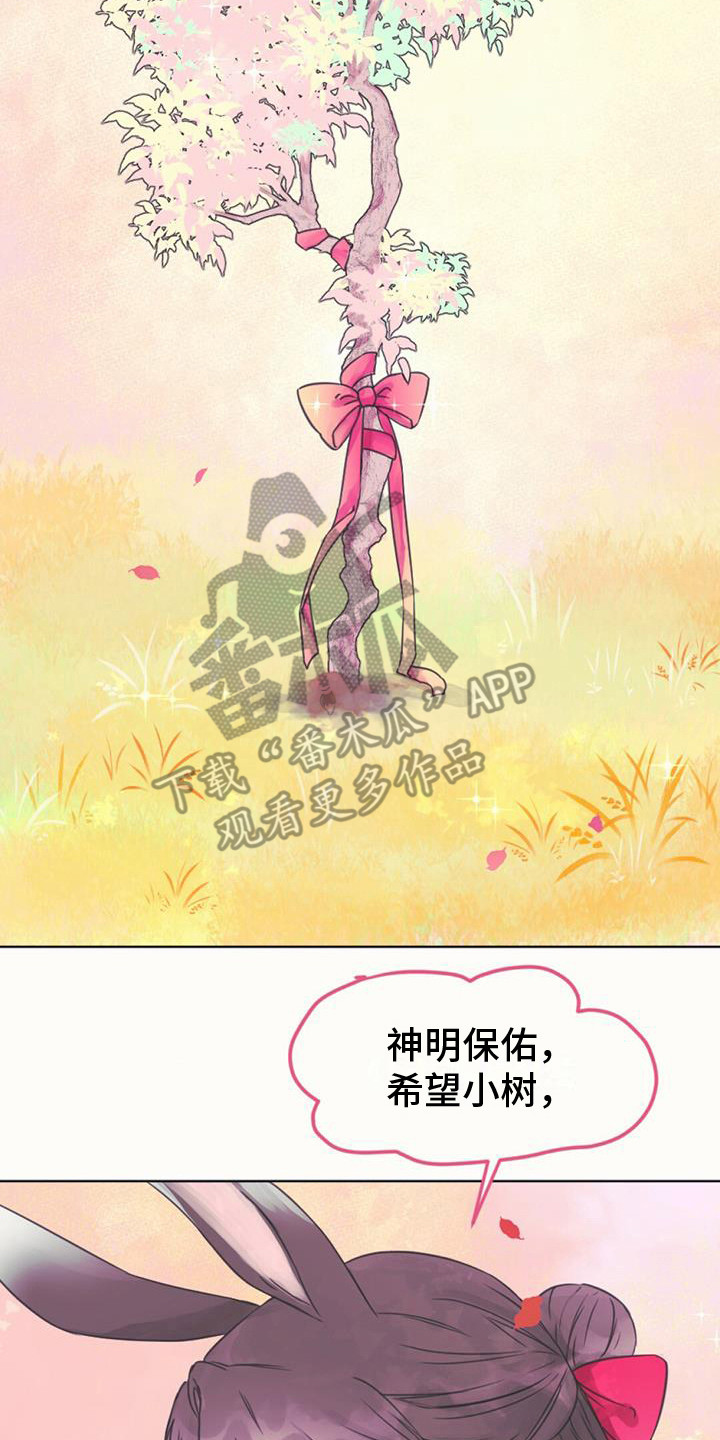 第4章：小树苗0