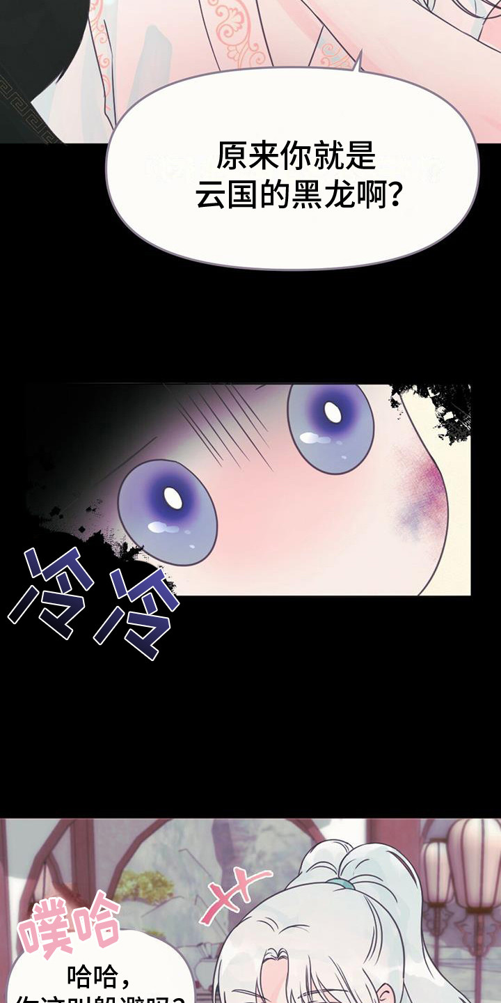 第28章：产生兴趣2