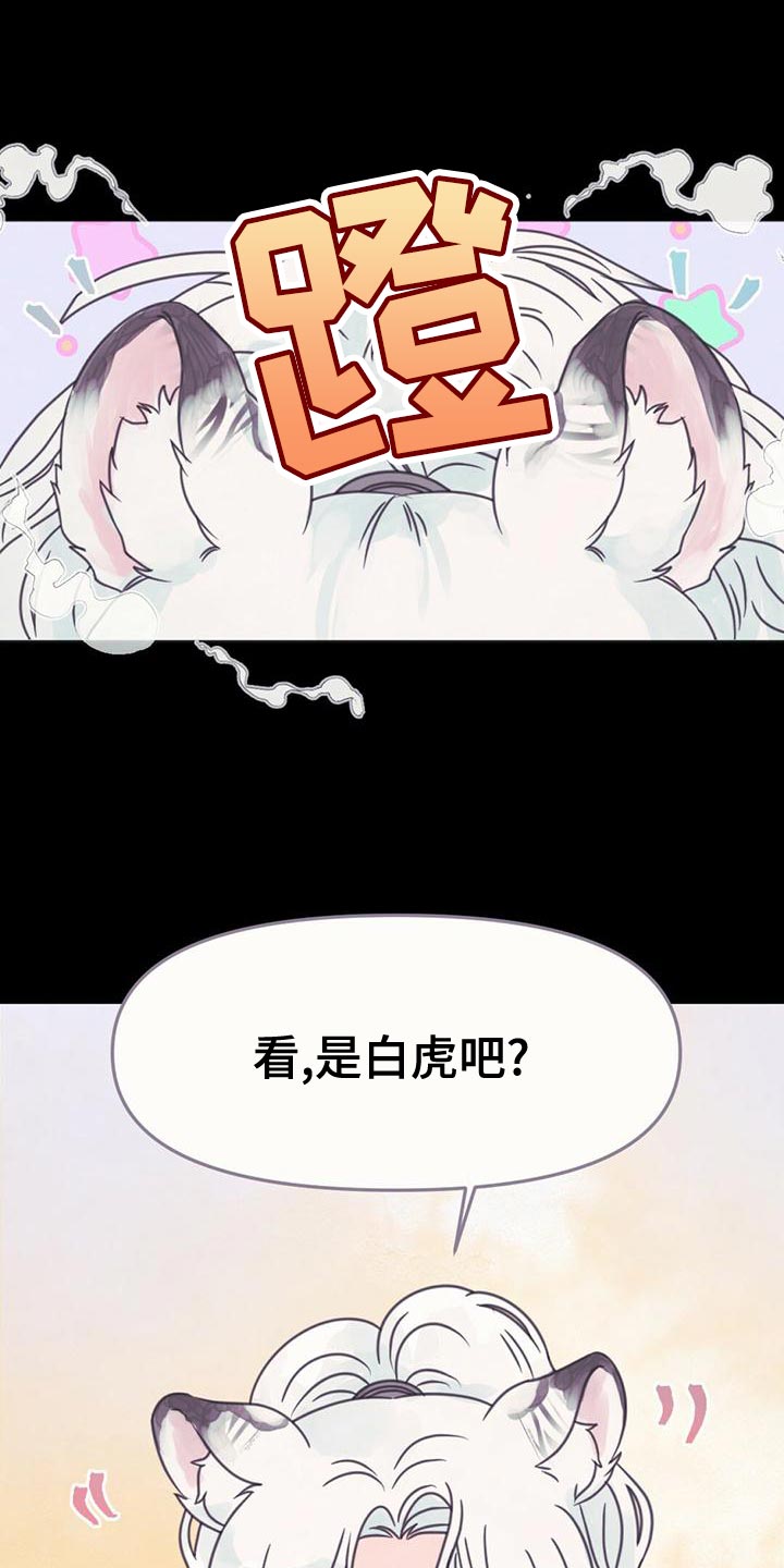 第31章：利用2