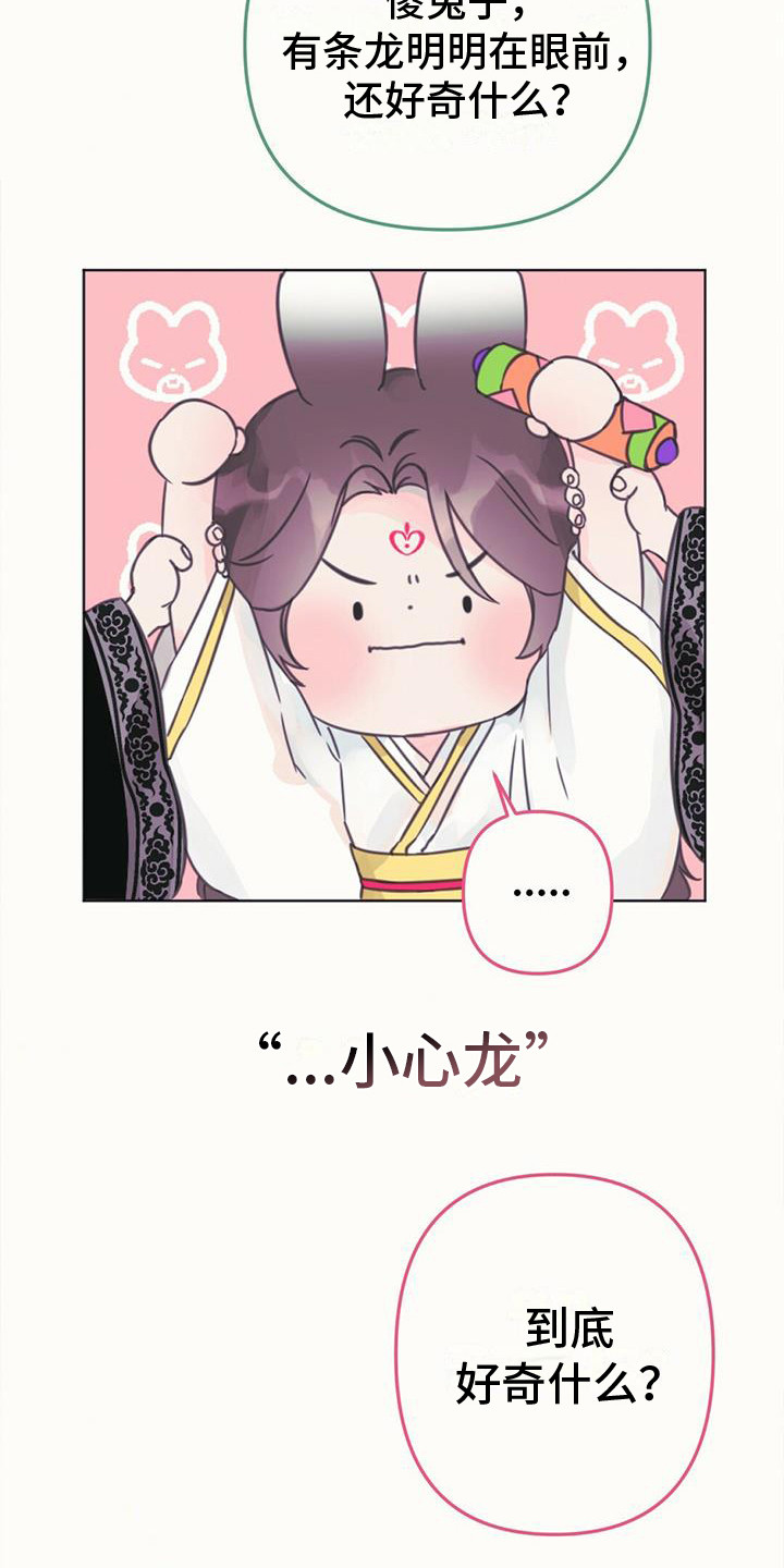 第13章：相似的人0