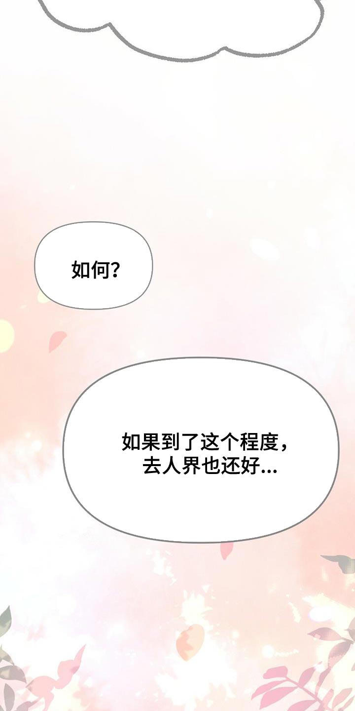 第40章：假象4