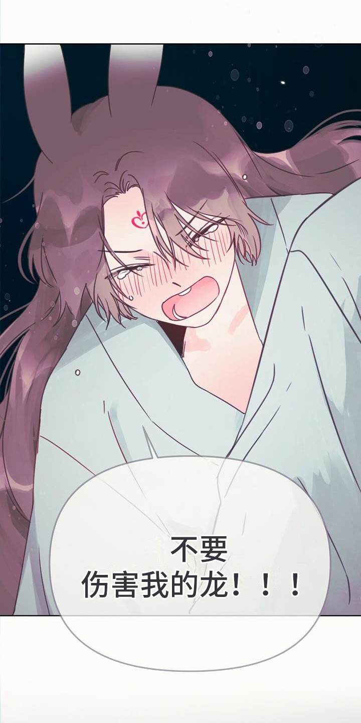 第17章：交换信息0