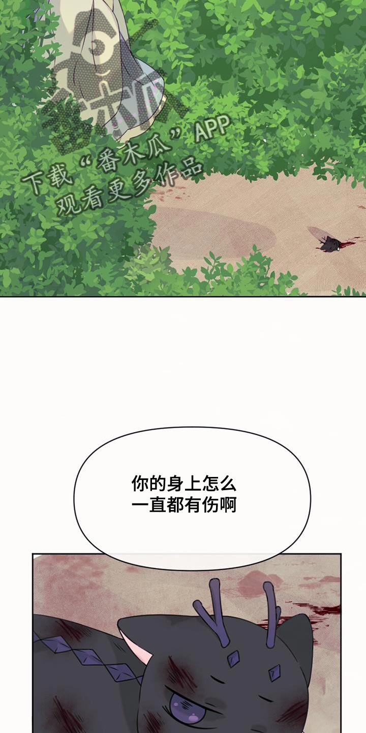 第68章：悲剧4