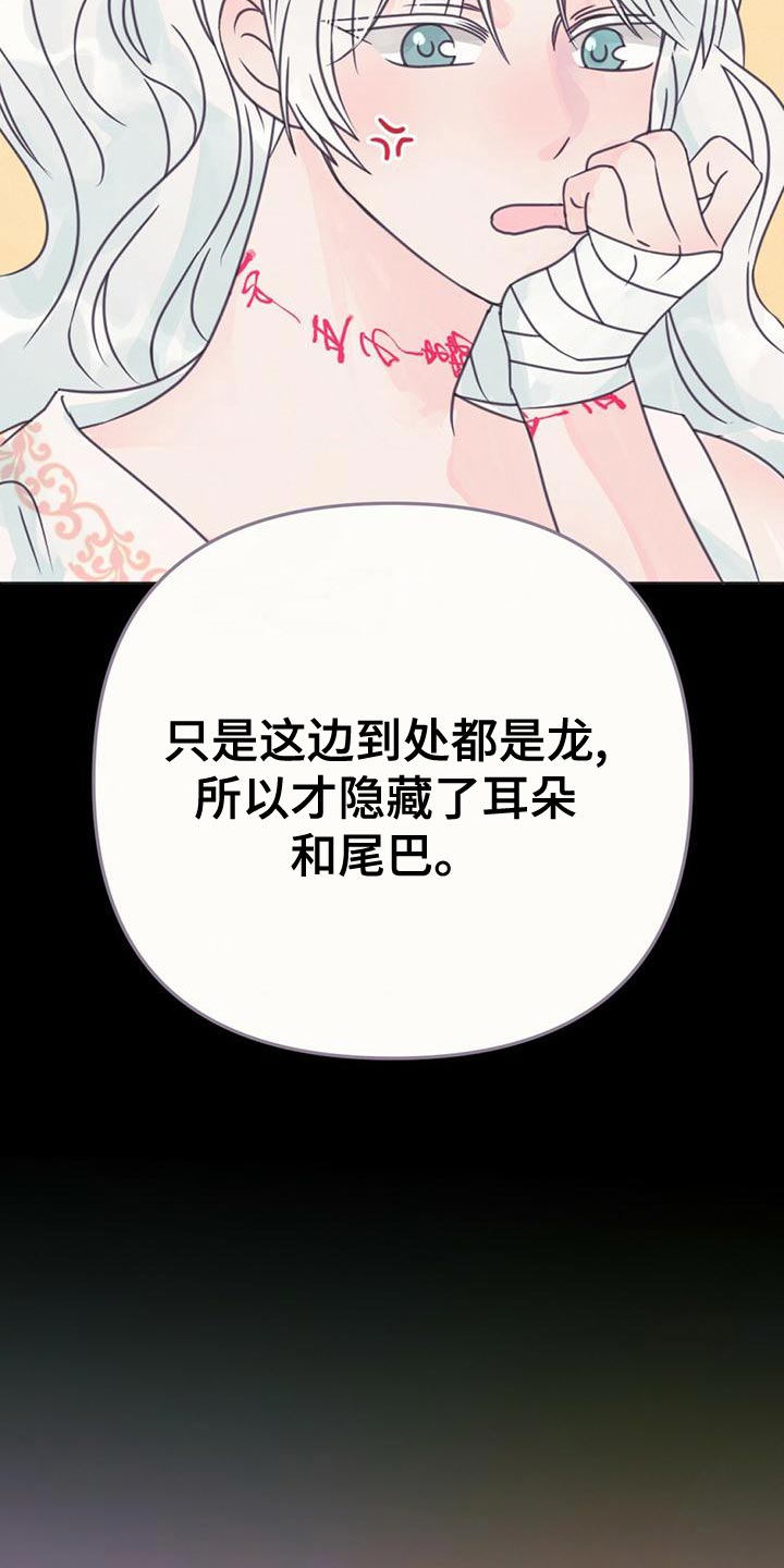 第31章：利用4