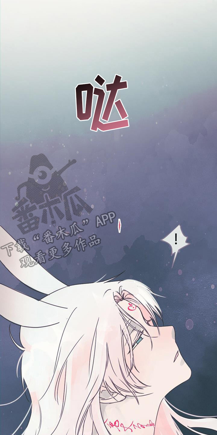 第17章：交换信息1