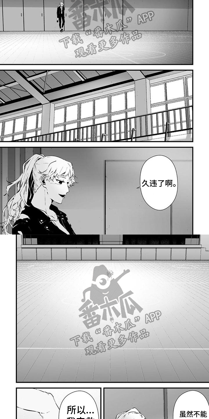 第33章：聪明的猫4