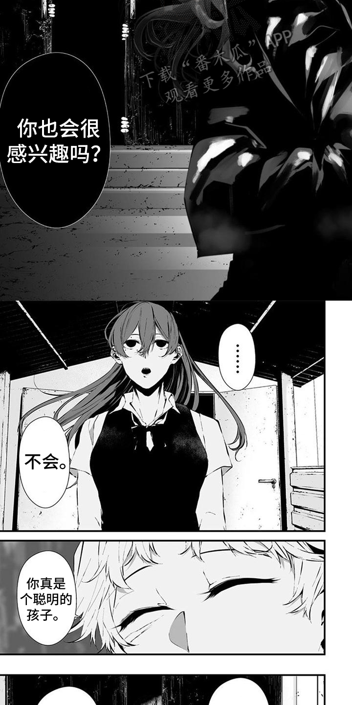 第33章：聪明的猫2