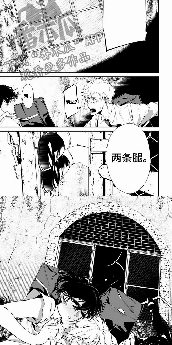 第13章：何方神圣3