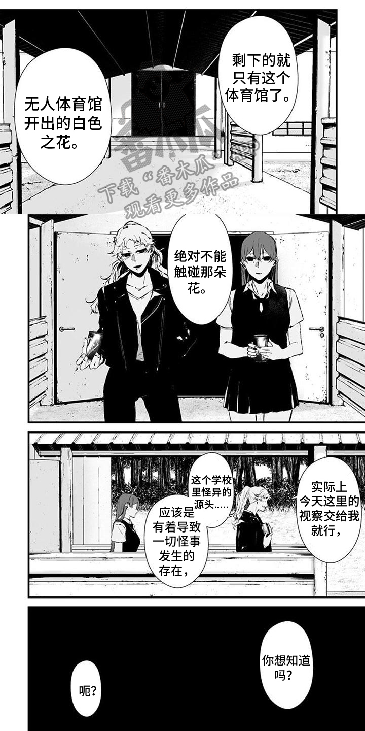 第33章：聪明的猫0