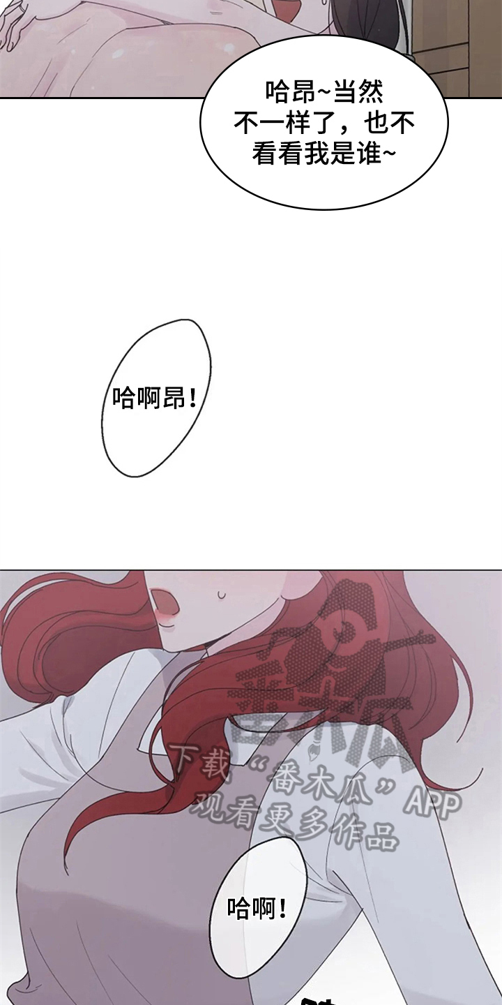 第19章：机会2