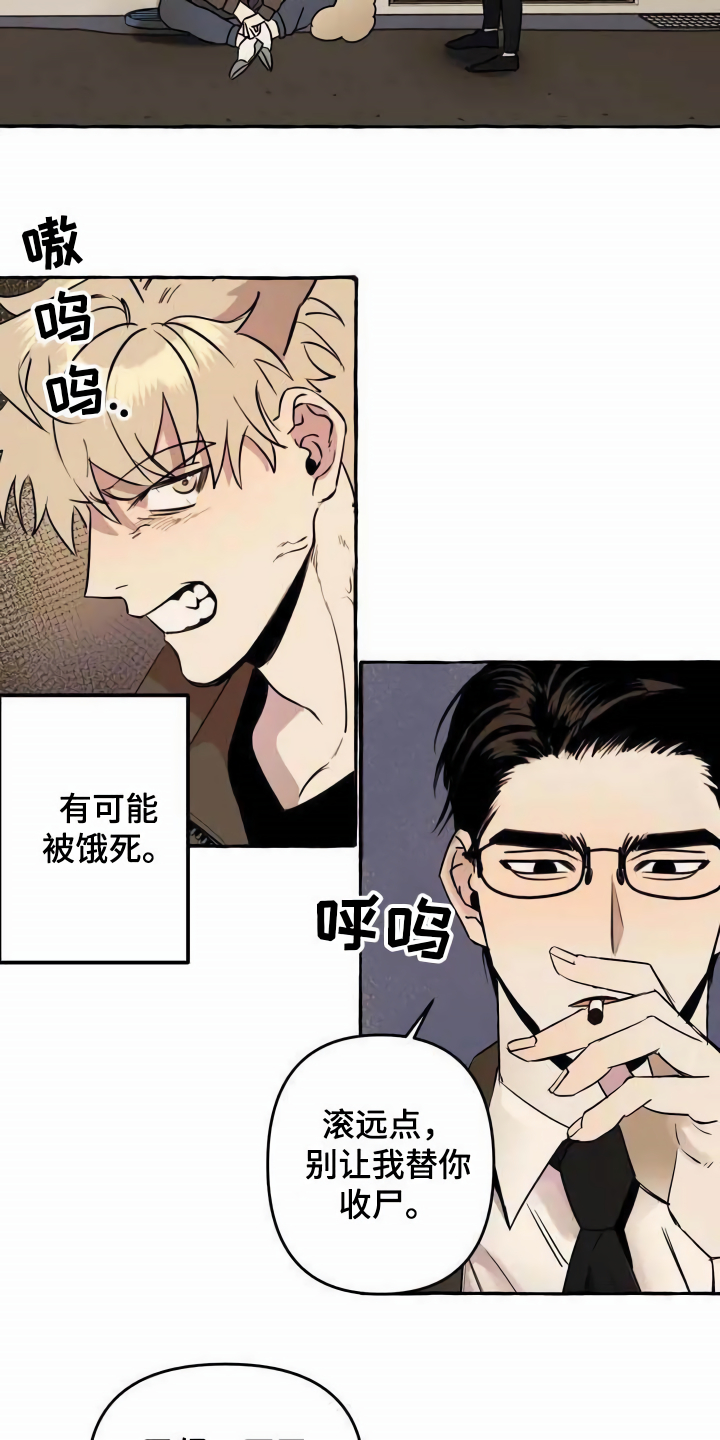 第1章：流浪狗1