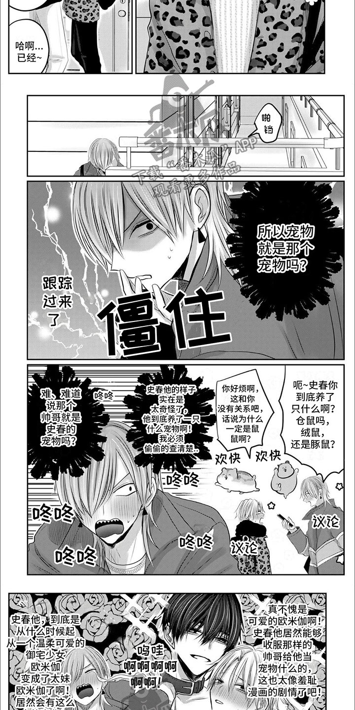 第9章：越陷越深2