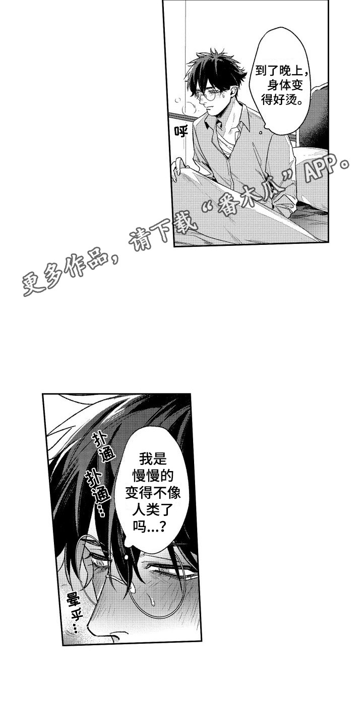 第20章：失去理智4