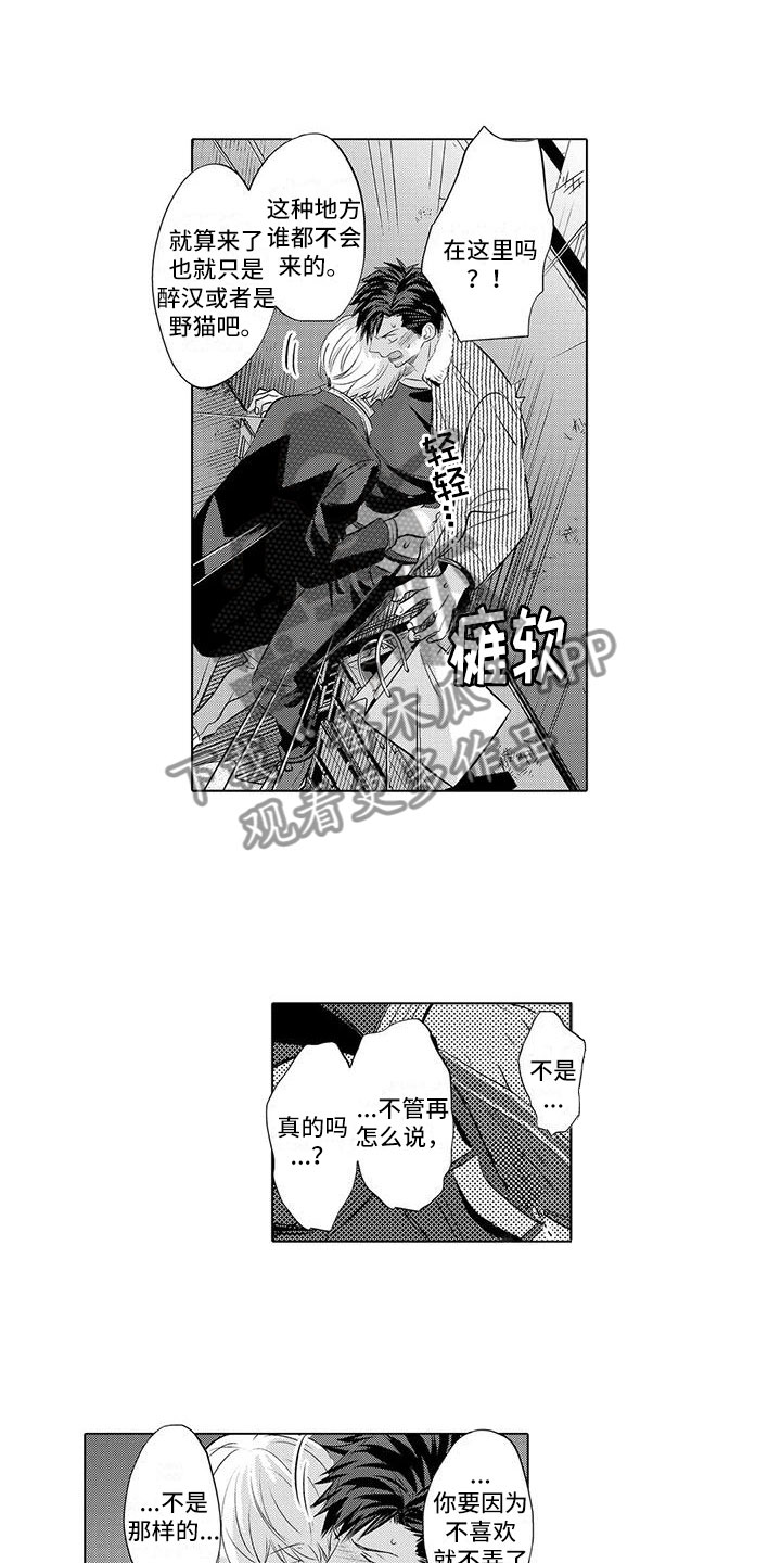 第29章：开始拍摄3