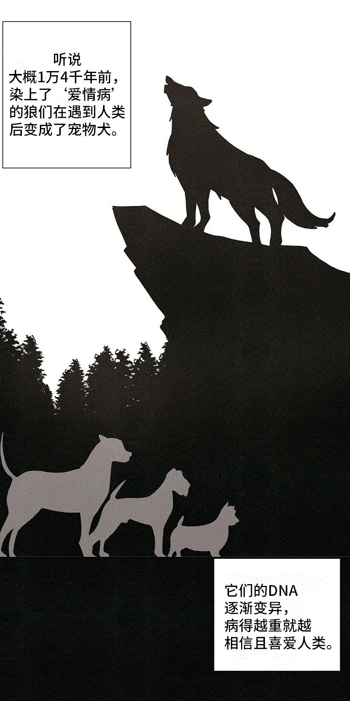 第1章：不能放弃的爱0