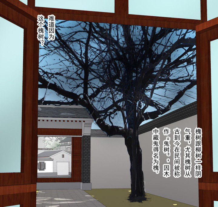 第96章：槐木取阴4