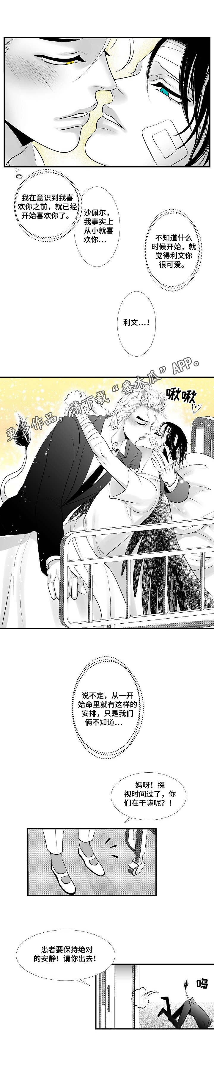 第27章：尘埃落定4