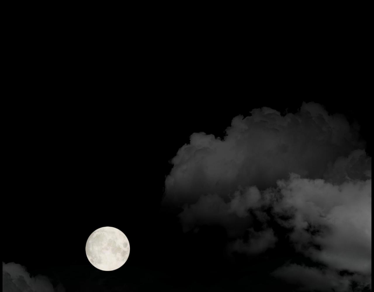 第40话 咱们安全了3