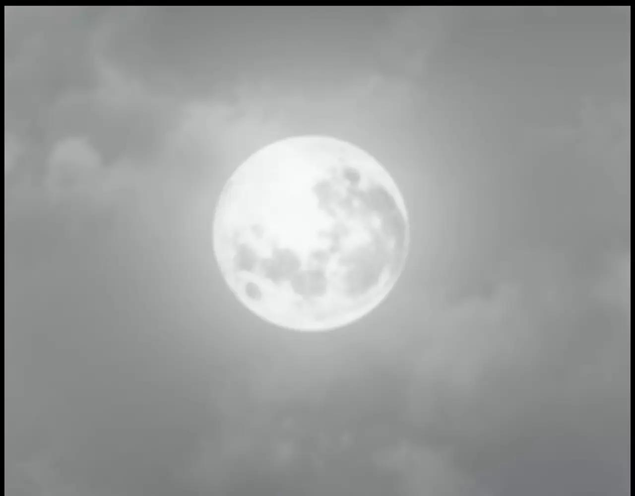 第8话 拒绝续约0