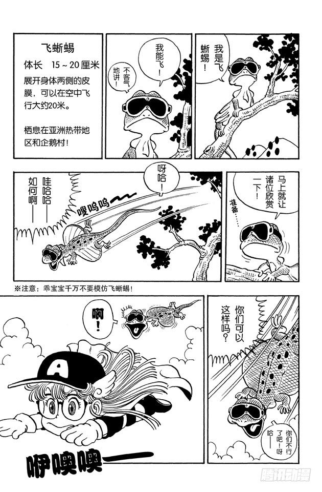 第24话 草莓短裤大作战PART11