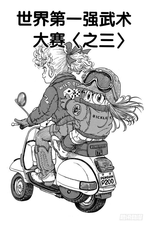 第204话 世界第一强武术大赛<之三>0