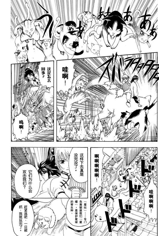 第208话 爱猫与爱狗之人是水火不相容的3