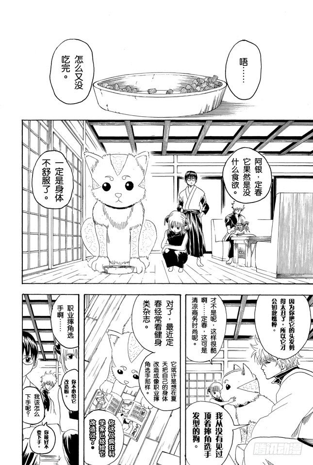 第126话 狗狗的肉垫有种香味呢3