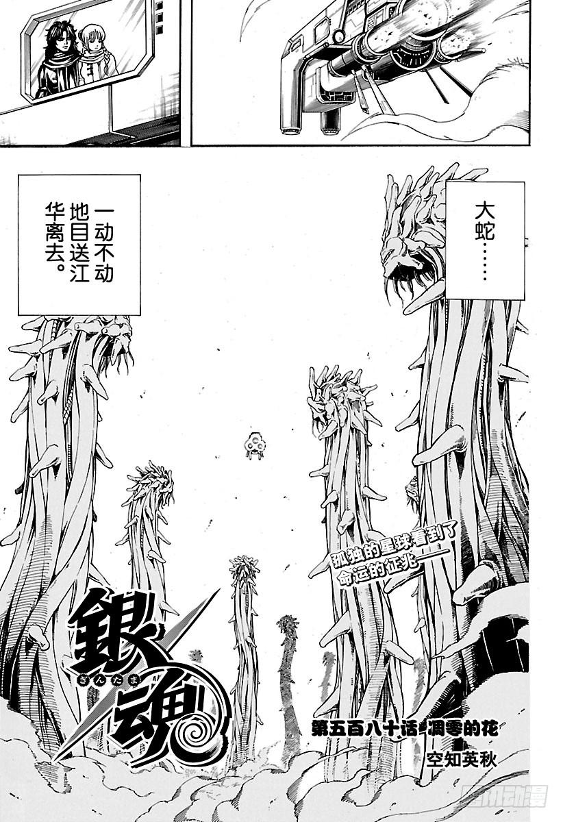 第580话 凋零的花4