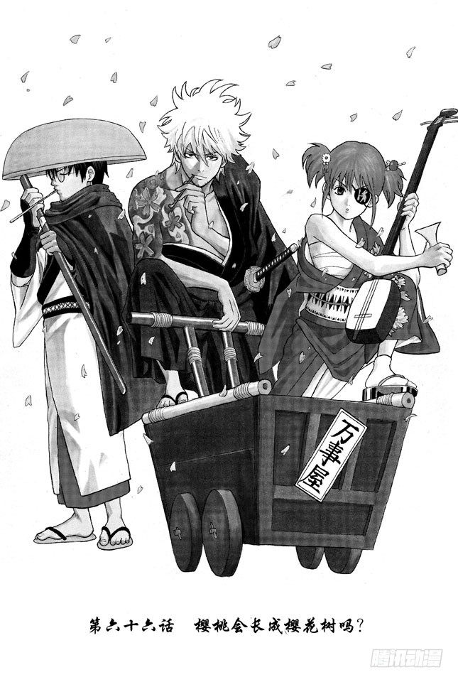 第66话 樱桃会长成樱花树吗？0