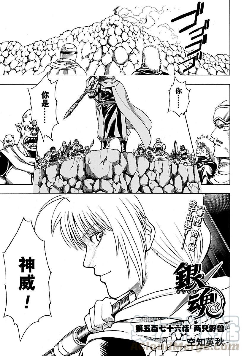 第576话 两只野兽0