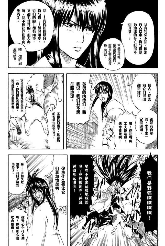 第208话 爱猫与爱狗之人是水火不相容的4